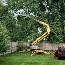 Best Tree Mulching  in Lake Wales, FL