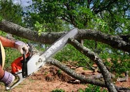 Best Leaf Removal  in Lake Wales, FL